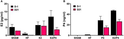 The hormonal environment and estrogen receptor signaling alters Chlamydia muridarum infection in vivo